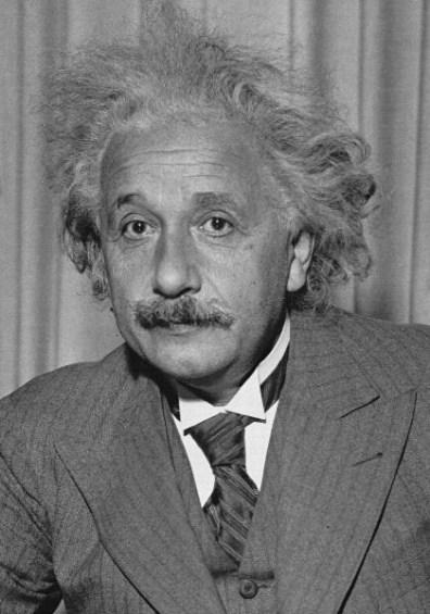 Albert Einstein (SUBMITTED PHOTO)