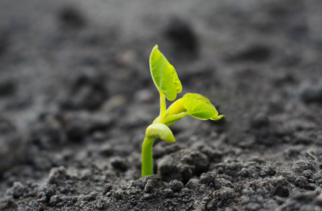 feb25_what-is-life-660